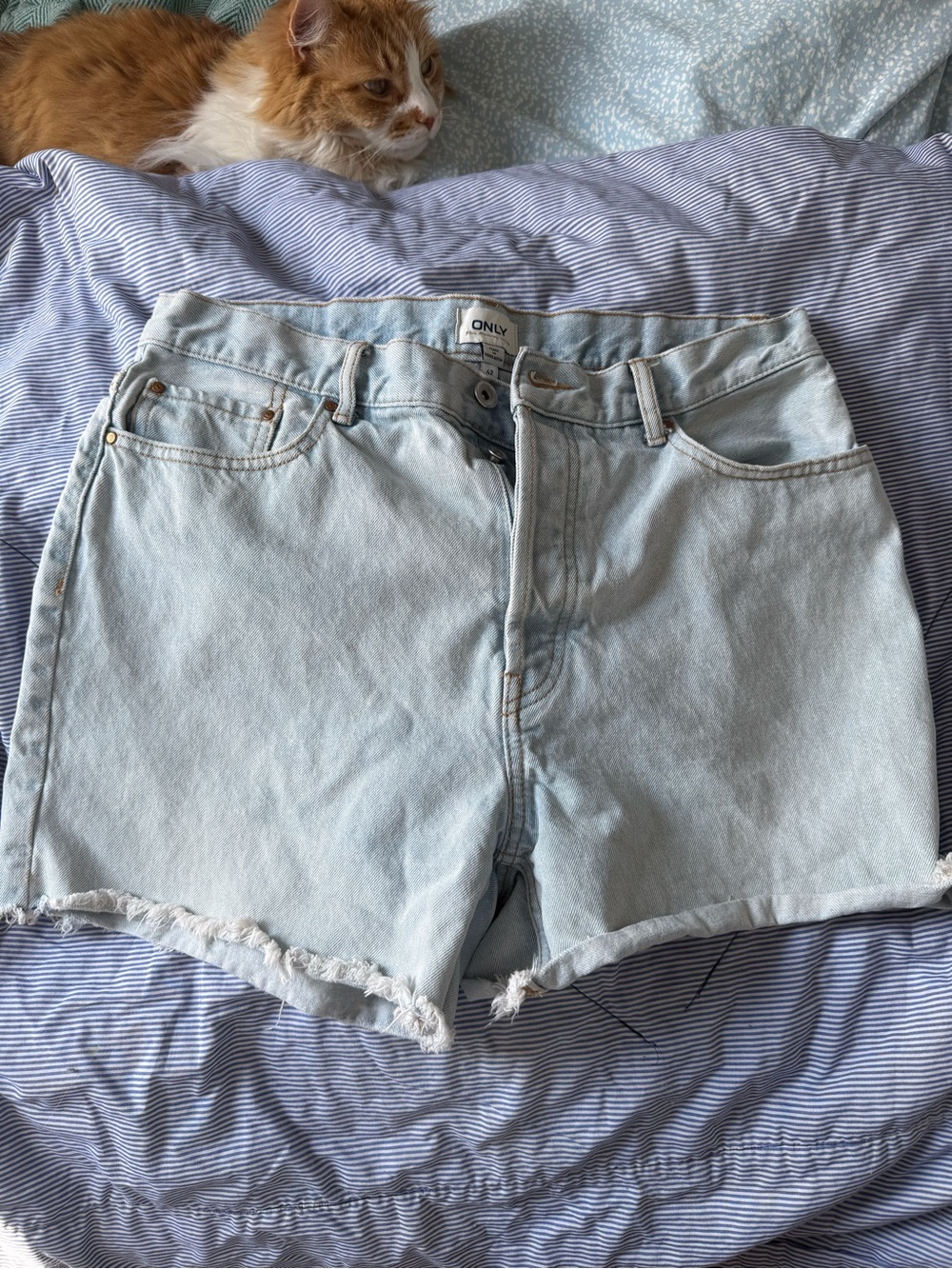 Only Light Blue High-Rise Denim Shorts with Frayed Hem